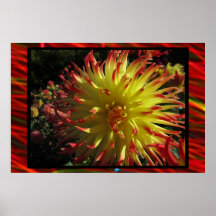 Affiche - fleur jaune de Dalia