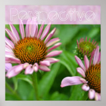 Affiche florale d'echinacée de perspective