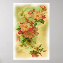 Affiche florale vintage