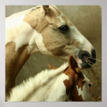 Affiche grise de cheval de concours complet