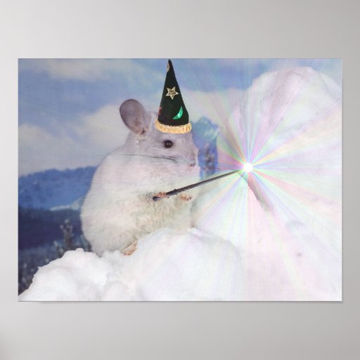 Affiche impériale de chinchilla de magicien du niv