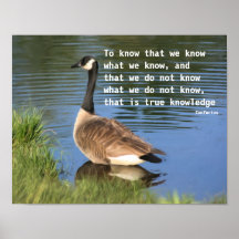 Affiche inspirée de citation de Confucius d'oie du