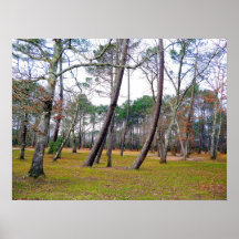 Affiche "Les les Landes" 24" x18 "
