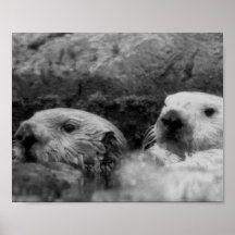 Affiche (noire et blanche) de deux loutres