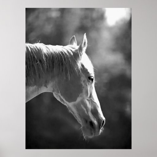 Affiche noire et blanche d'impression de cheval d'