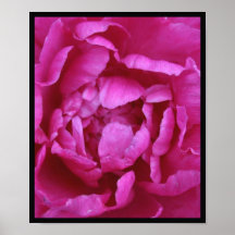 Affiche photographique d'art de Peoney de perfecti