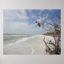 Affiche pittoresque de plage