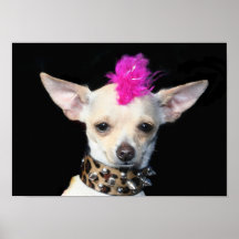 Affiche punk de chiwawa