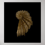 affiche romane d'or de coquillage posters