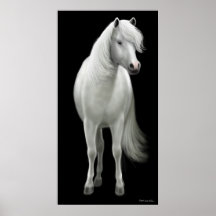 Affiche sauvage de cheval blanc
