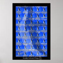 Affiche socialement maladroite de pingouin