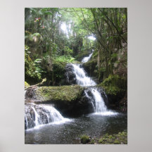 Affiche tropicale 12x16 de cascade