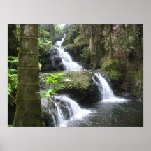 Affiche tropicale de cascade (paysage) 16x12