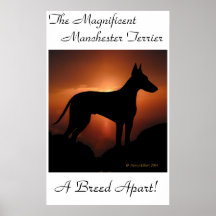 Affiche unique de Manchester Terrier