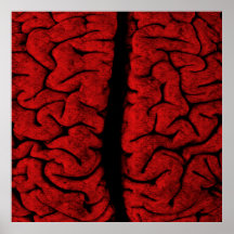 Affiche vintage de cerveau