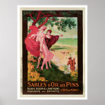 Affiche vintage de voyage de goupilles de les de d
