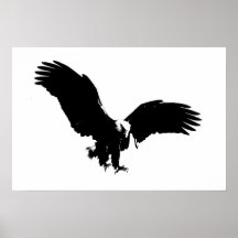 Affiches chauves de BW Eagles d'impression d'affic