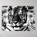 Affiches de tigres de style d'art de bruit d'impre