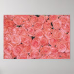 Affiches et copies assez roses de roses