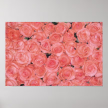 Affiches et copies assez roses de roses