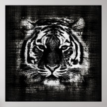 Affiches noires et blanches de cru de tigre