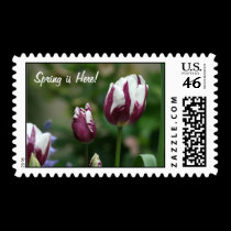 Affranchissement pourpre de tulipes timbres