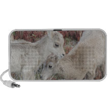 Agneau de moutons de Big Horn de montagne rocheuse Haut-parleur Notebook