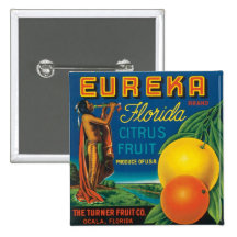 Agrumes de la Floride d'Eureka Badges Avec Agrafe