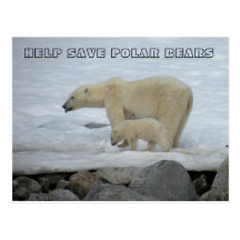 AIDE SAUVER LES OURS BLANCS CARTE POSTALE