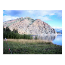 aigle Alaska Carte Postale