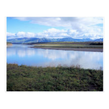aigle Alaska Cartes Postales