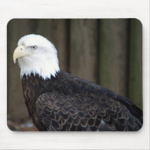 aigle chauve two8x10 tapis de souris