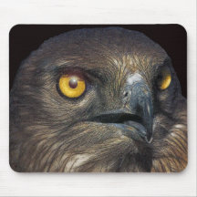 aigle tapis de souris