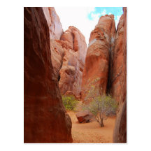 Ailerons, voûtes parc national, Utah, carte postal