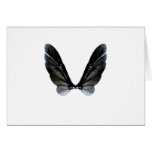 ailes de vol cartes de vœux