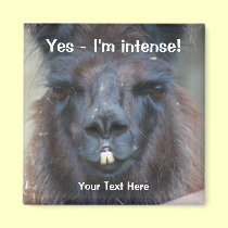 Aimant animal drôle de lama noir intense magnets