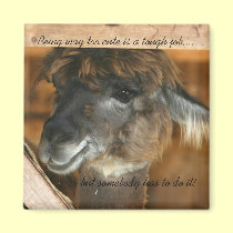 Aimant animal drôle trop mignon de lama magnets