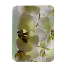 Aimant balançant de prime d'orchidées magnet souple