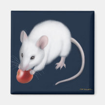 Aimant blanc de souris