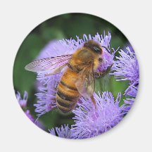 Aimant d'abeille de miel