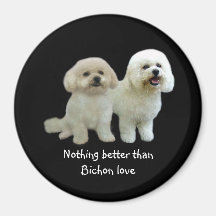 Aimant d'amis de Bichon