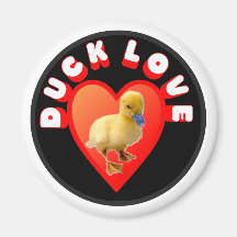 Aimant d'amour de canard