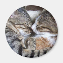 Aimant d'amour de chat