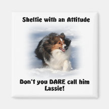 Aimant d'attitude de Sheltie
