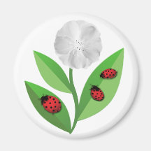 Aimant de 3 coccinelles