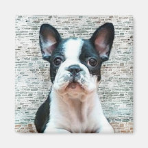 Aimant de bouledogue français