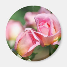 Aimant de bourgeon de rose de rose