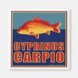 Aimant de carpe