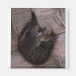 Aimant de carré de chaton de yoga