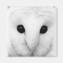 Aimant de carré de hibou de Milou